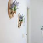 Apartamento Levanda Cozy *