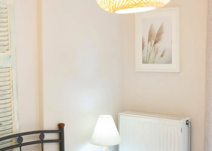 Levanda Cozy * Apolpaina