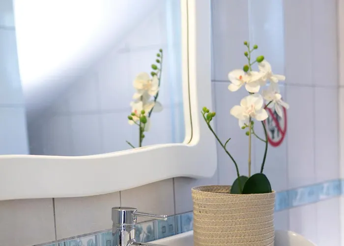 Levanda Cozy * Apolpaina